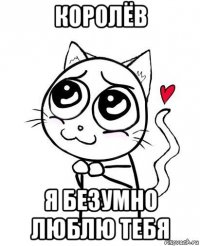 королёв я безумно люблю тебя