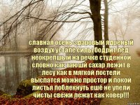 славная осень здаровый ядреный воздух устале силы бодрит лед неокрепшый на речке студенной словно как таюшй сахар лежит в лесу как в мягкой постели выспатся можно простор и покой листья поблекнуть ешё не упели чисты свежи лежат как ковер!!!
