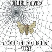 и где же паук? ах вот ты где, привет тебе