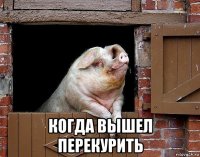  когда вышел перекурить