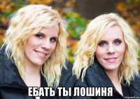  ебать ты лошиня