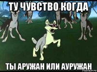 ту чувство когда ты аружан или ауружан