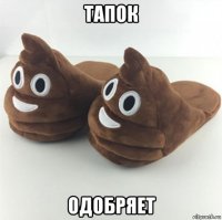тапок одобряет