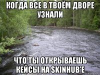 когда все в твоём дворе узнали что ты открываешь кейсы на skinhub'e