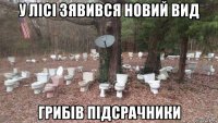 у лісі зявився новий вид грибів підсрачники