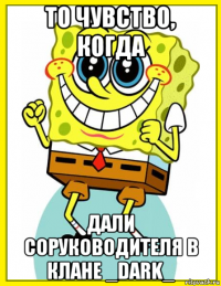 то чувство, когда дали соруководителя в клане _dark_