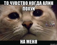 то чувство когда алин похуй на меня
