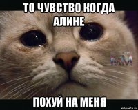 то чувство когда алине похуй на меня