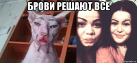 брови решают всё 