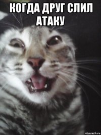 когда друг слил атаку 