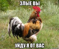 злые вы уйду я от вас