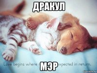 дракул мэр