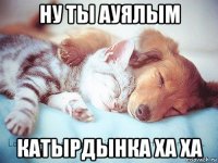 ну ты ауялым катырдынка ха ха
