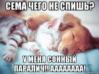 сема чего не спишь? у меня сонный паралич!! аааааааа!