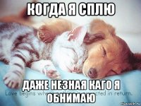 когда я сплю даже незная каго я обнимаю