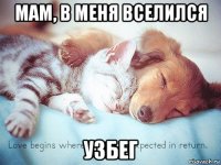 мам, в меня вселился узбег
