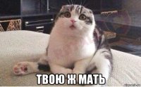  твою ж мать