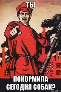 ты покормила сегодня собак?