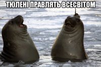 тюлені правлять всесвітом 