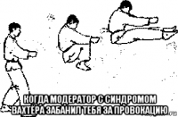  когда модератор с синдромом вахтёра забанил тебя за провокацию