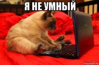 я не умный 