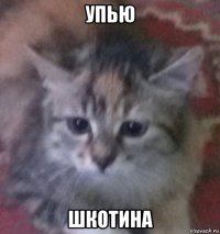 упью шкотина