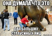она думала что это два больших страусиных яиц