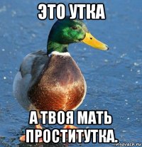 это утка а твоя мать проститутка.