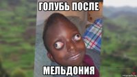 голубь после мельдония