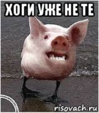 хоги уже не те 