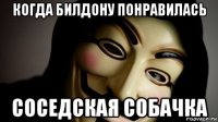 когда билдону понравилась соседская собачка