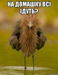 на домашку всі ідуть? 