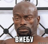 виебу