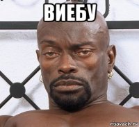 виебу 