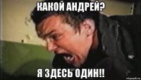 какой андрей? я здесь один!!