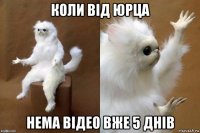 коли від юрца нема відео вже 5 днів