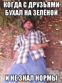 когда с друзьями бухал на зелёной и не знал нормы