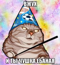 вжух и ты чушка ебаная