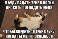я буду падать тебе в ногии просить погладить меня чтобы вцепиться тебе в руку, когда ты меня коснешься