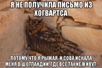 я не получила письмо из хогвартса потому что я рыжая, и сова искала меня в шотландии, где все такие живут.