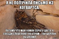 я не получила письмо из хогвартса, потому что мой хомяк серого цвета, а соседи слева поют по утрам... так шерлок объяснил