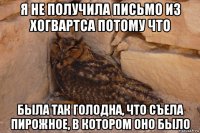 я не получила письмо из хогвартса потому что была так голодна, что съела пирожное, в котором оно было