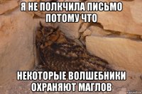 я не полкчила письмо потому что некоторые волшебники охраняют маглов