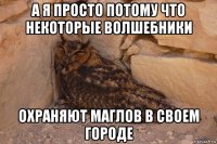 а я просто потому что некоторые волшебники охраняют маглов в своем городе