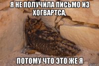 я не получила письмо из хогвартса, потому что это же я