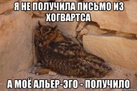 я не получила письмо из хогвартса а моё альер-эго - получило