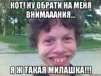 кот! ну обрати на меня внимааания... я ж такая милашка!!!