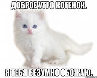 доброе утро котенок. я тебя безумно обожаю.