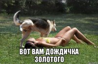  вот вам дождичка золотого