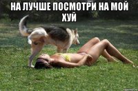 на лучше посмотри на мой хуй 